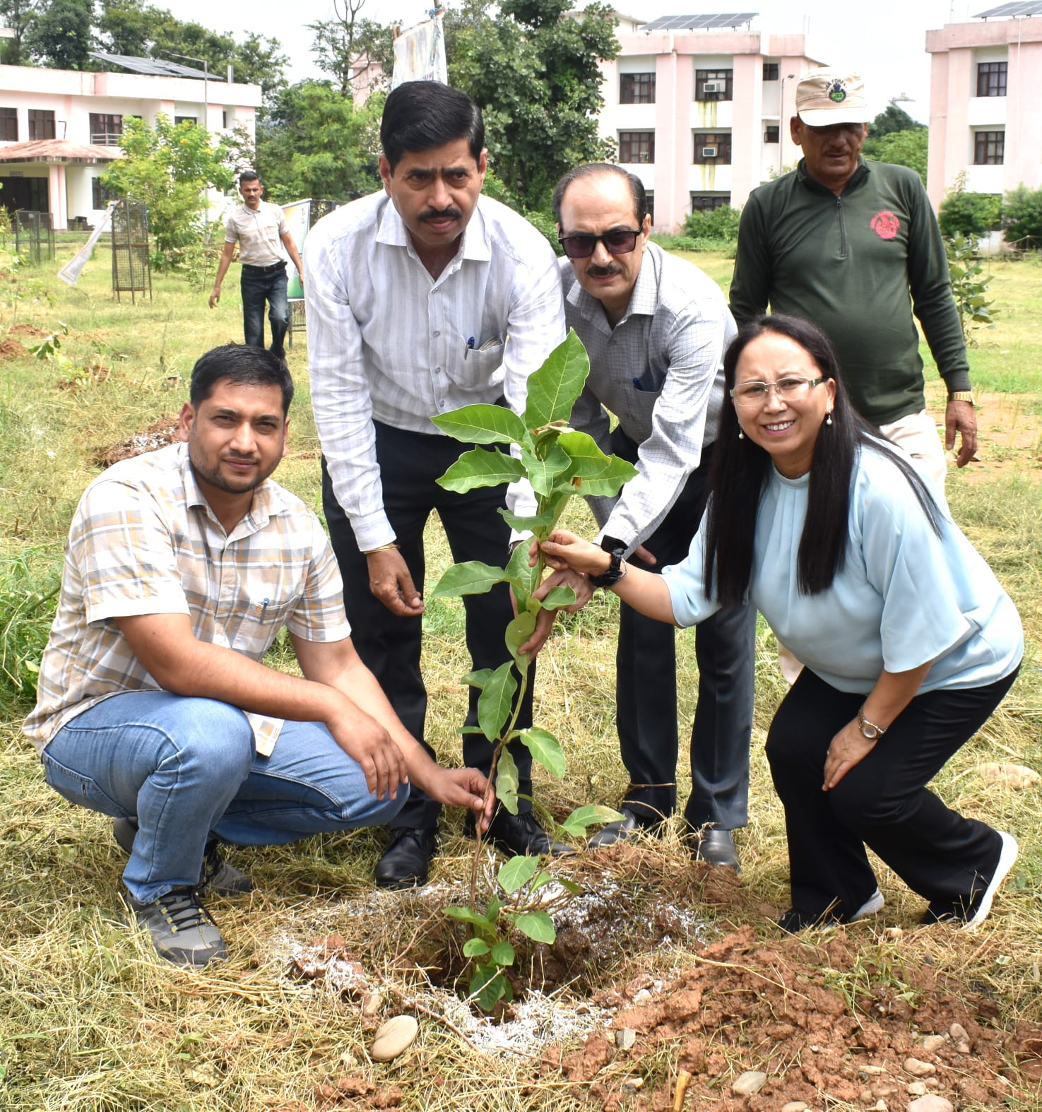 Plantation Drive